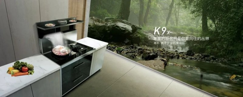 潮邦K9x集成灶产品图片 厨房装修效果图_5